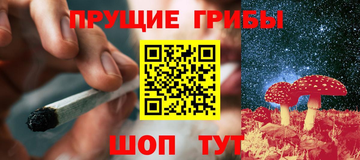 Псилоцибиновые грибы Cubensis  Вход с VPN  Саранск 
