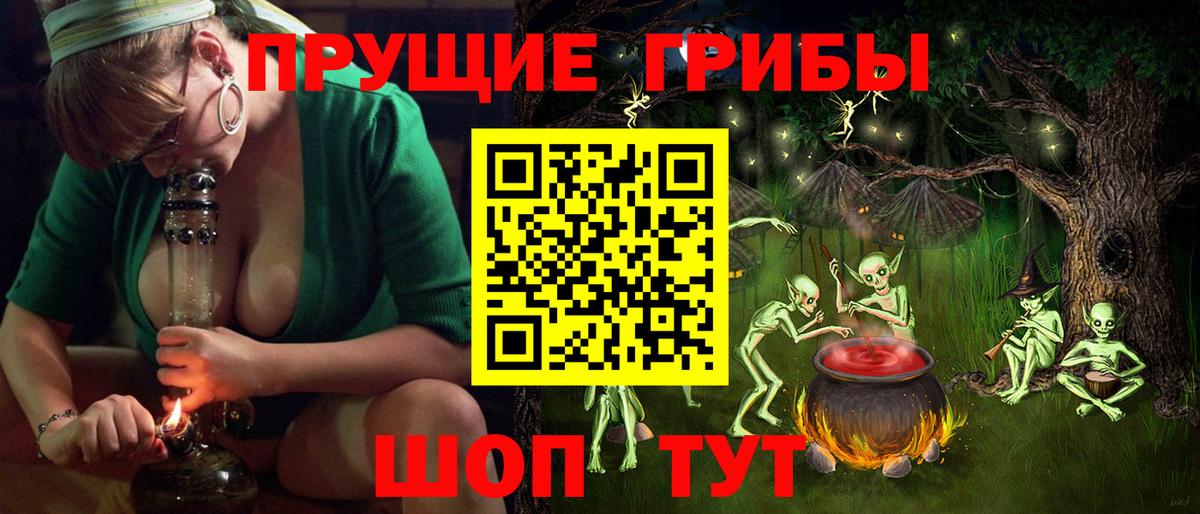 Псилоцибиновые грибы мицелий Саранск